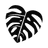 Monstera leaf